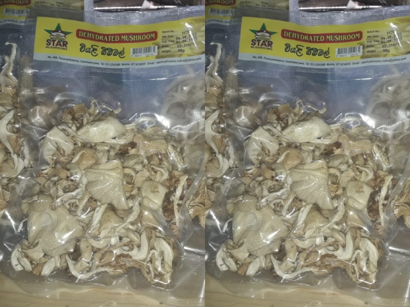 Dehydrated Mushroom